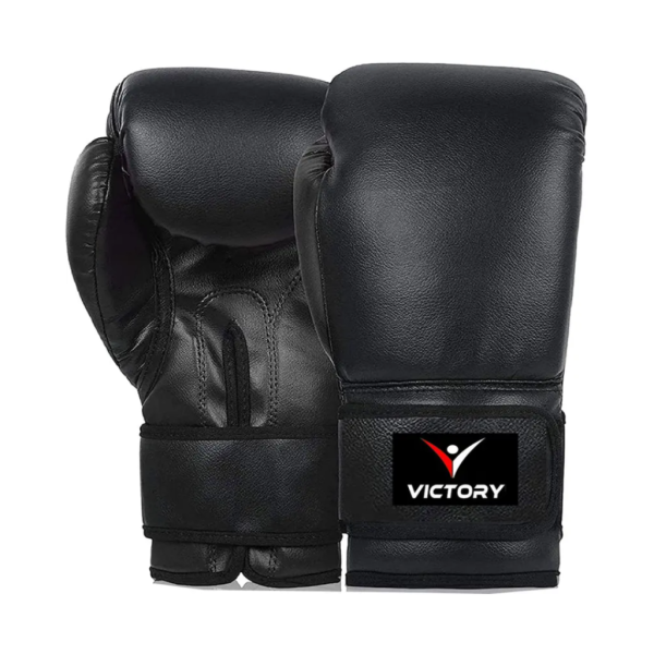 MMA Gloves 12 OZ for Men and Women Boxing Gloves